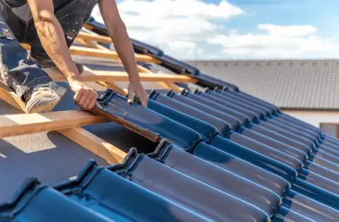 Couverture - Holving